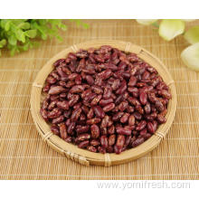 Kidney Beans And Rice